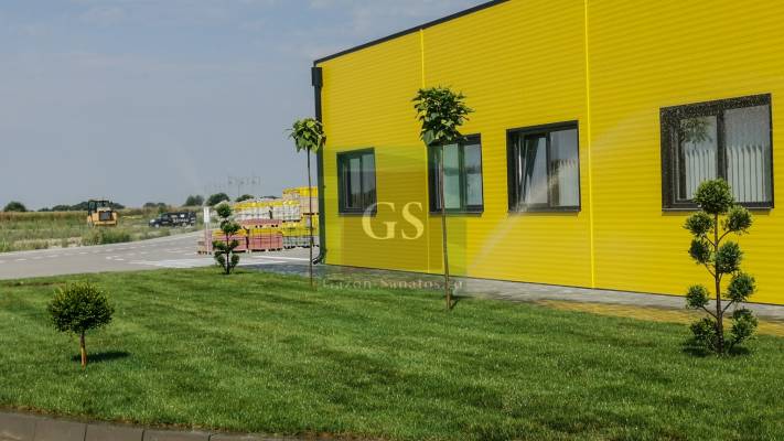 Amenajare Sediu Firma