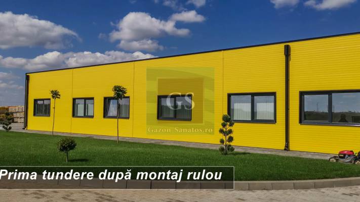 Amenajare Sediu Firma