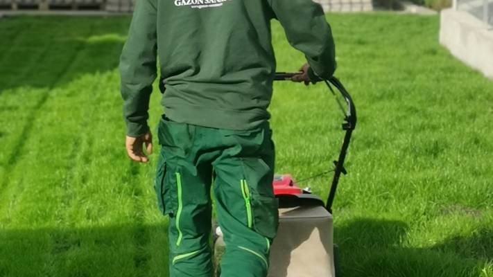 Amenajare Sediu Firma