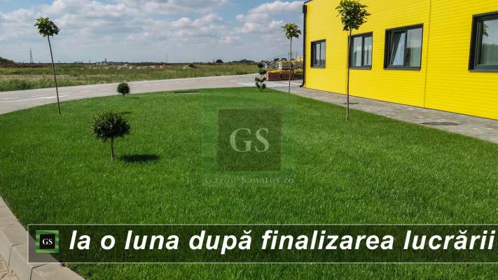 Amenajare Sediu Firma