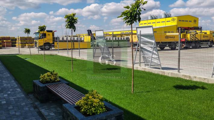 Amenajare Sediu Firma