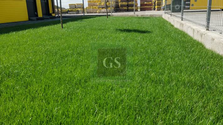 Amenajare Sediu Firma