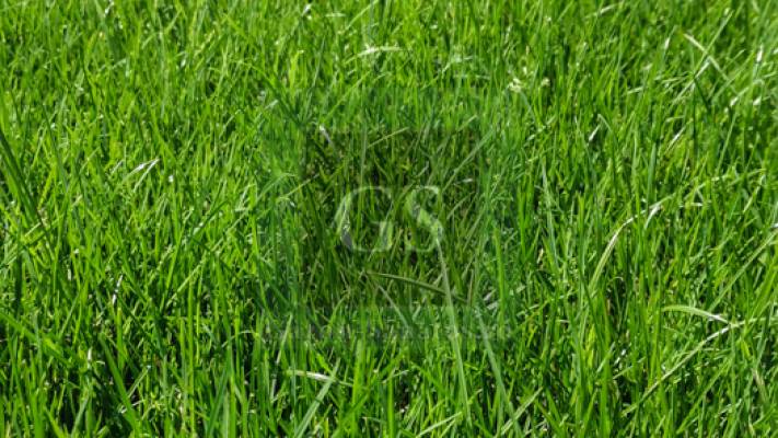 Amenajare Sediu Firma