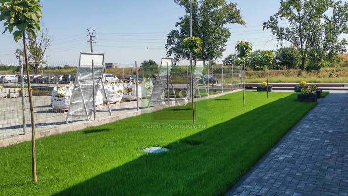 Amenajare Sediu Firma