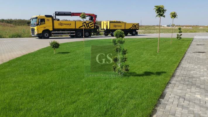 Amenajare Sediu Firma