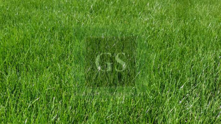 Amenajare Sediu Firma