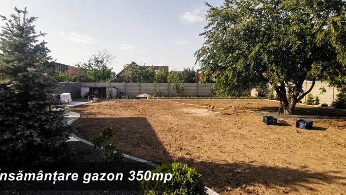 Însămânțare Gazon 350mp