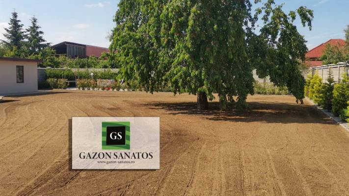 Însămânțare Gazon 350mp