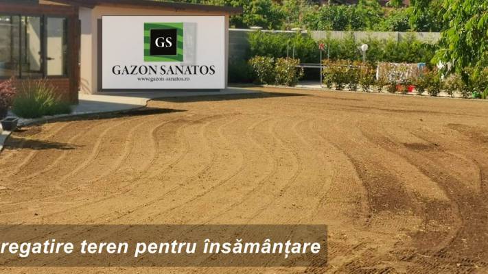 Însămânțare Gazon 350mp