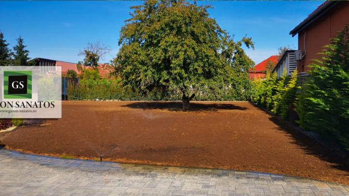 Însămânțare Gazon 350mp