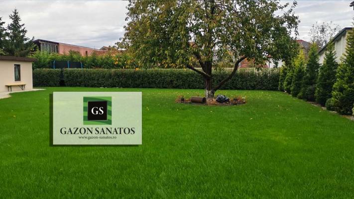 Însămânțare Gazon 350mp