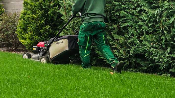 Însămânțare Gazon 350mp