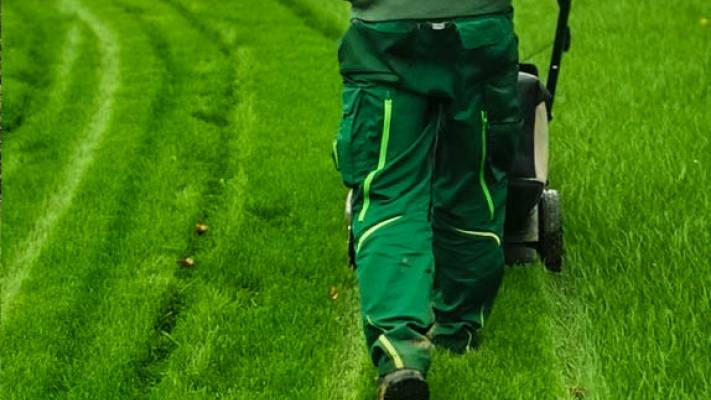 Însămânțare Gazon 350mp