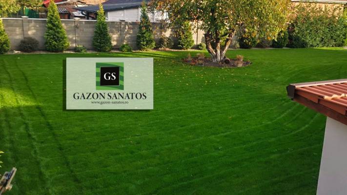 Însămânțare Gazon 350mp