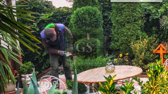 Toaletari Leylandii Gard Viu