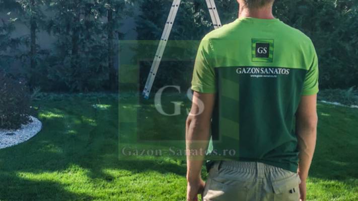 Toaletari Leylandii Gard Viu