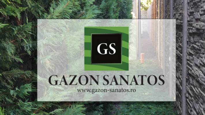 Toaletari Leylandii Gard Viu