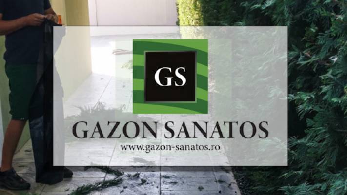 Toaletari Leylandii Gard Viu