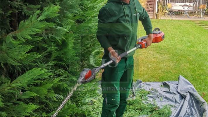 Toaletari Leylandii Gard Viu