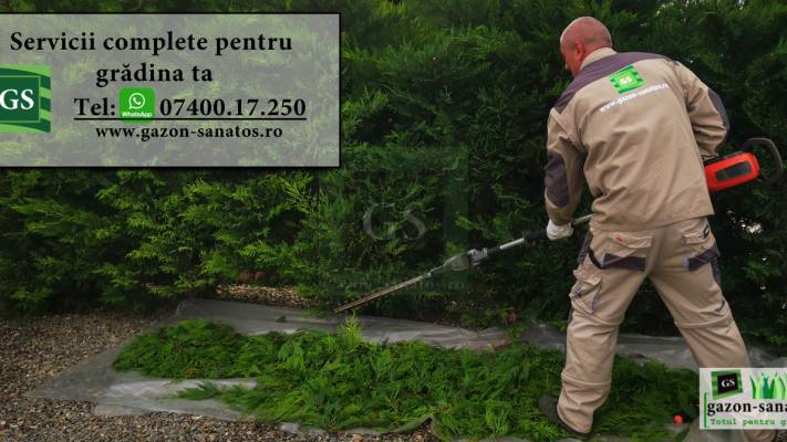 Toaletari Leylandii Gard Viu