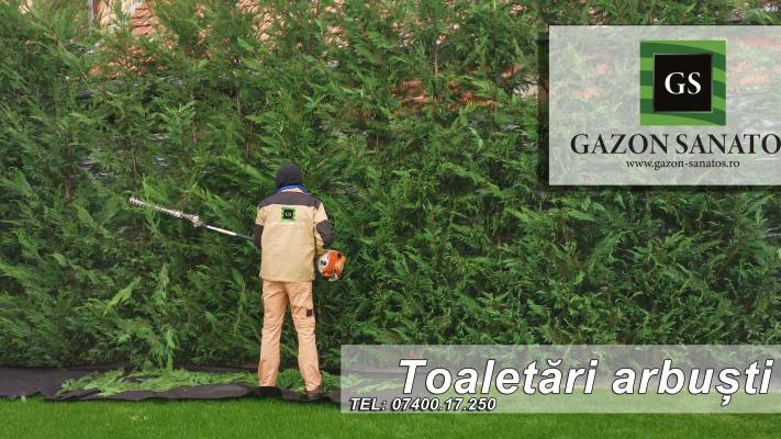 Toaletari Leylandii Gard Viu