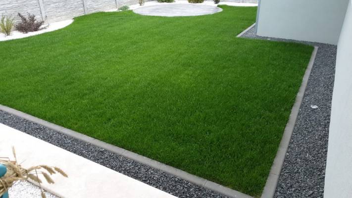 Poze inainte si dupa interventia noastra