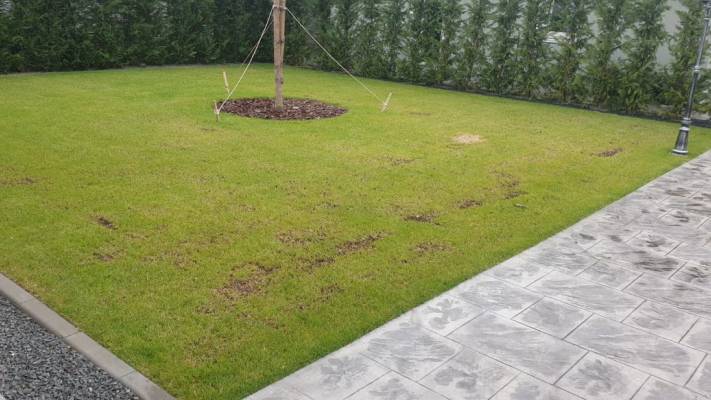 Poze inainte si dupa interventia noastra