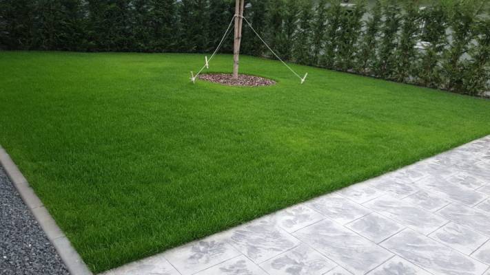 Poze inainte si dupa interventia noastra