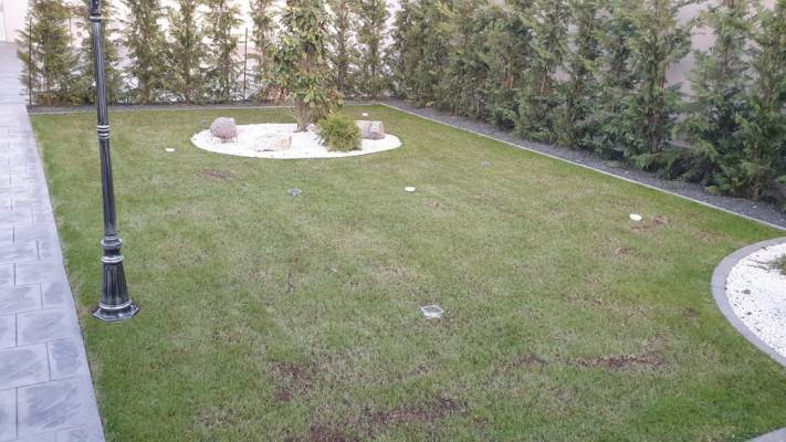 Poze inainte si dupa interventia noastra