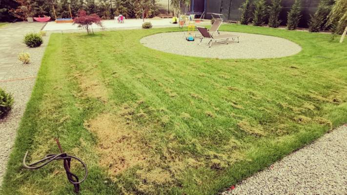 Poze inainte si dupa interventia noastra