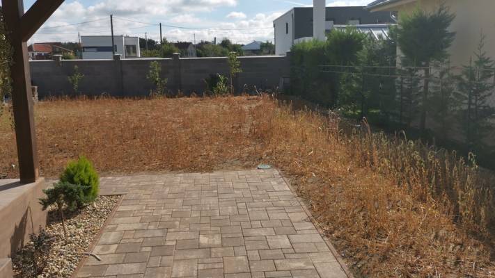 Poze inainte si dupa interventia noastra