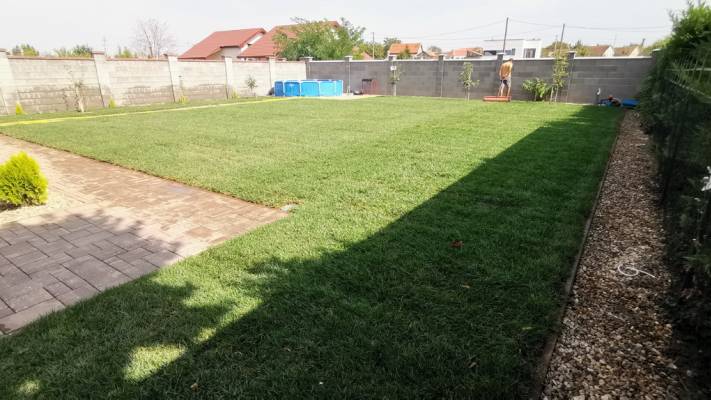 Poze inainte si dupa interventia noastra