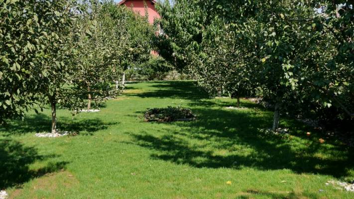 Poze inainte si dupa interventia noastra