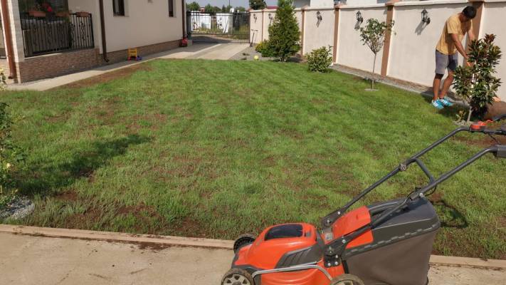 Poze inainte si dupa interventia noastra