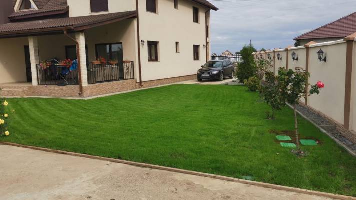 Poze inainte si dupa interventia noastra