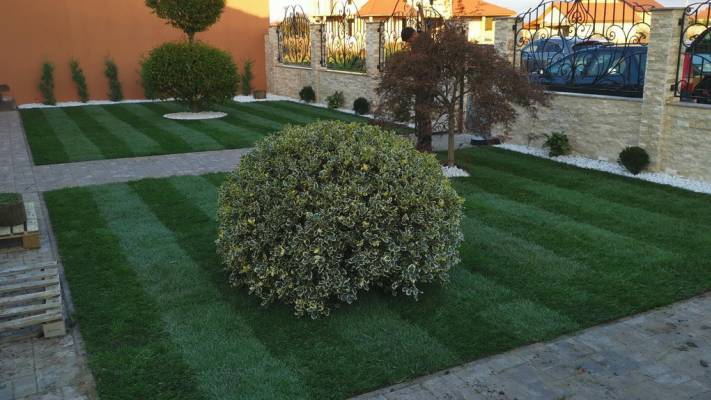 Poze inainte si dupa interventia noastra