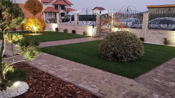 Poze inainte si dupa interventia noastra