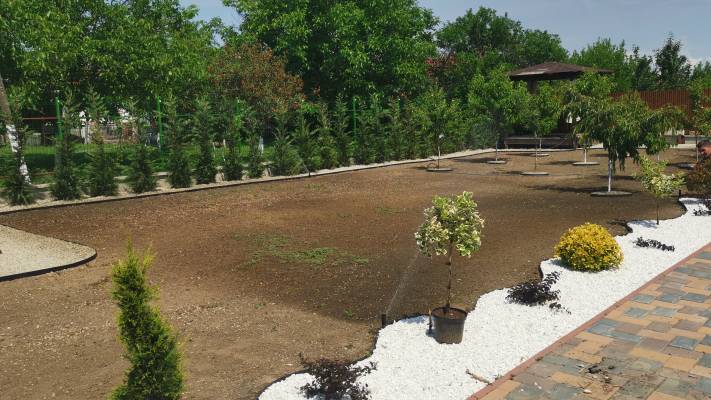 Poze inainte si dupa interventia noastra