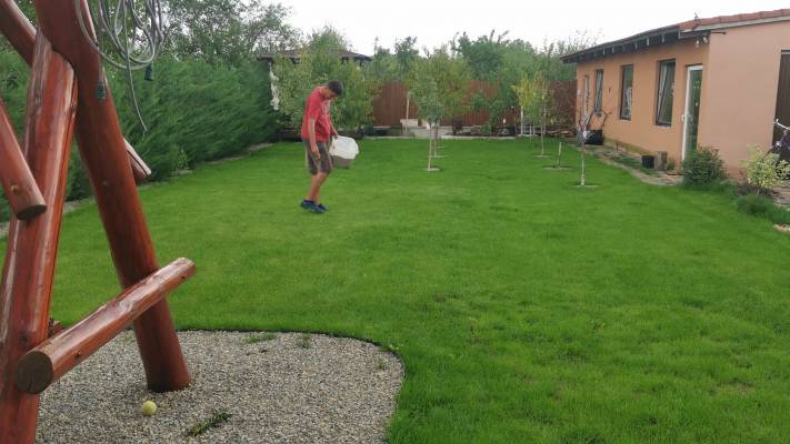 Poze inainte si dupa interventia noastra