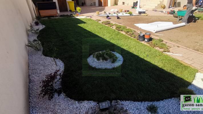 Poze inainte si dupa interventia noastra