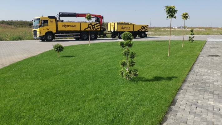 Poze inainte si dupa interventia noastra