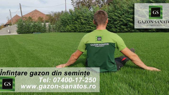 Poze inainte si dupa interventia noastra