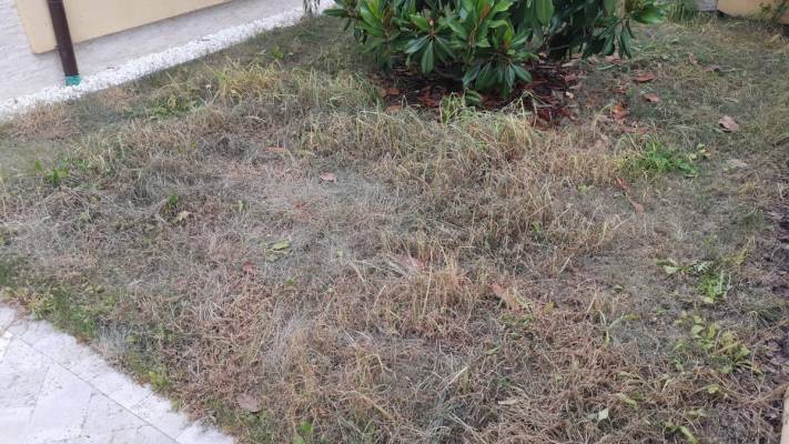 Poze inainte si dupa interventia noastra