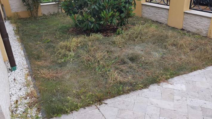 Poze inainte si dupa interventia noastra