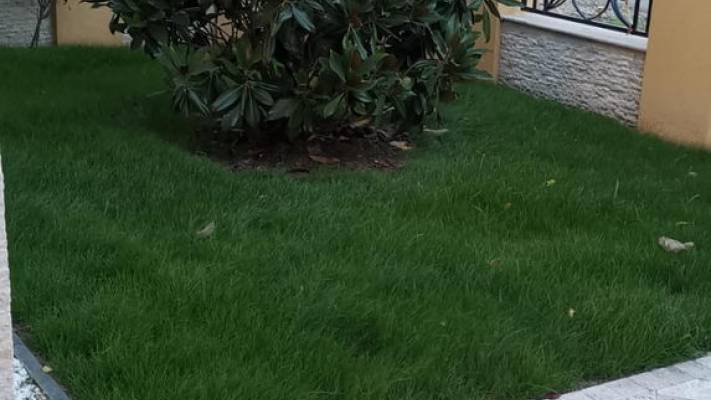 Poze inainte si dupa interventia noastra