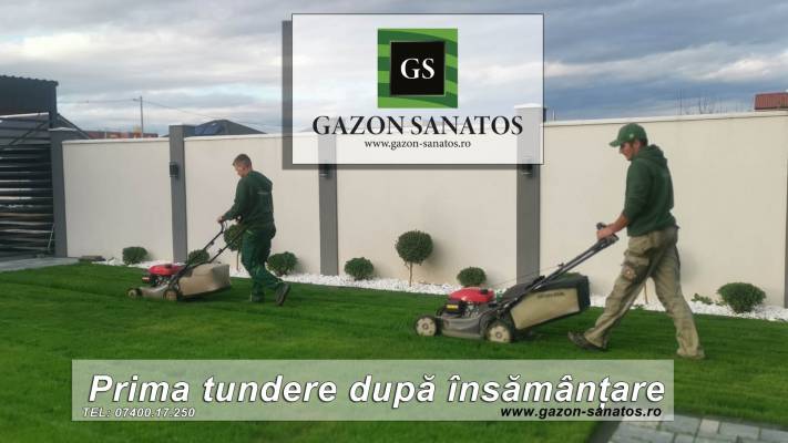 Poze inainte si dupa interventia noastra