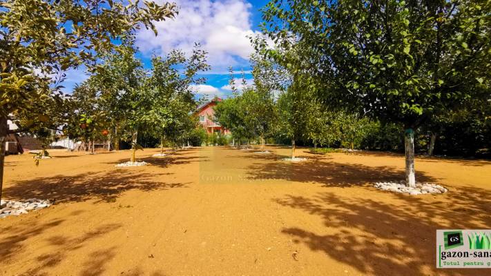 Poze inainte si dupa interventia noastra