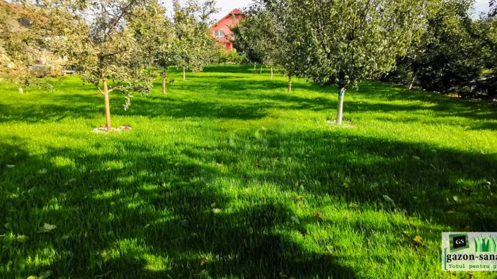 Poze inainte si dupa interventia noastra