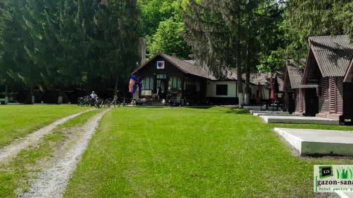 Poze inainte si dupa interventia noastra