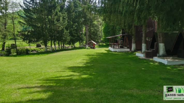 Poze inainte si dupa interventia noastra